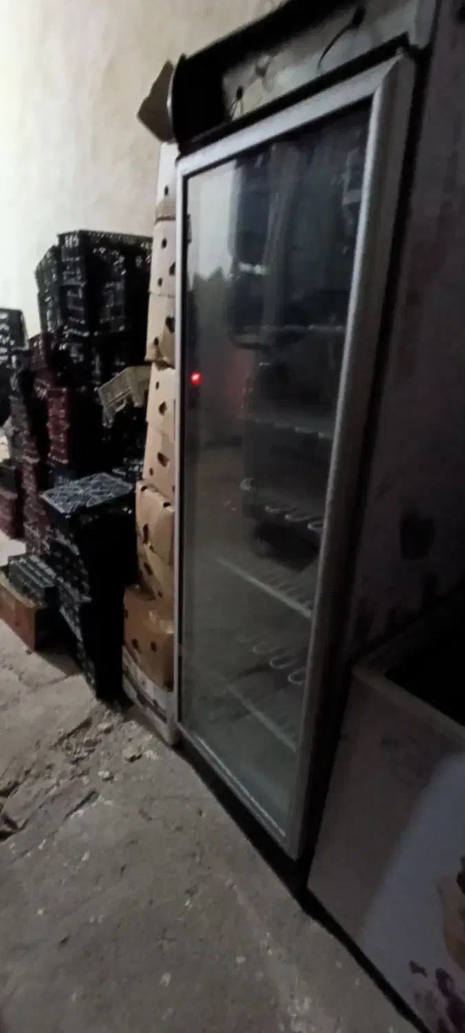 فریزر تک در ایستاده|فروشگاه و مغازه|بومهن, |دیوار