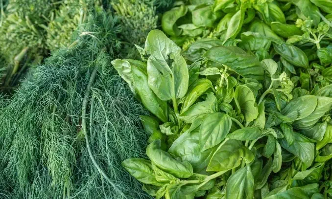 سبزی محلی و  تازه توکلی|خوردنی و آشامیدنی|سبزوار, کهنه آب|دیوار