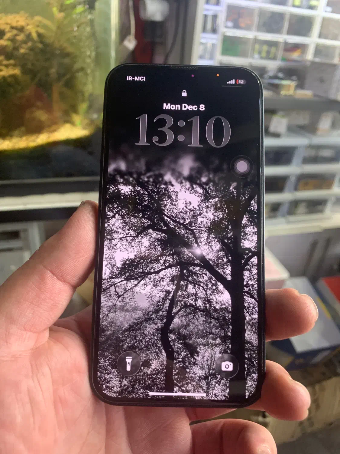 ایفون۱۳ch دو سیم بسیار تمیز|موبایل|گنبد کاووس, |دیوار