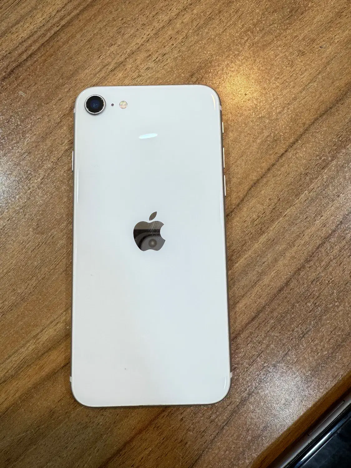 iPhone SE-256G|موبایل|کردکوی, |دیوار