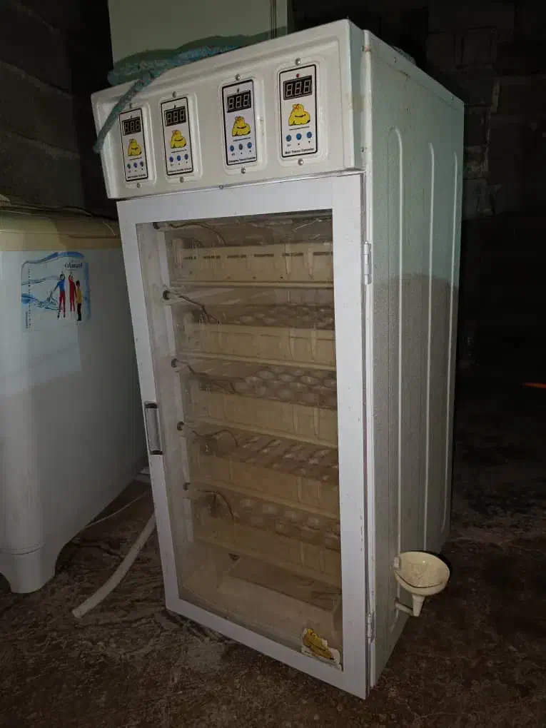 دستگاه جوجه کشی|ماشینآلات صنعتی|یاسوج, |دیوار