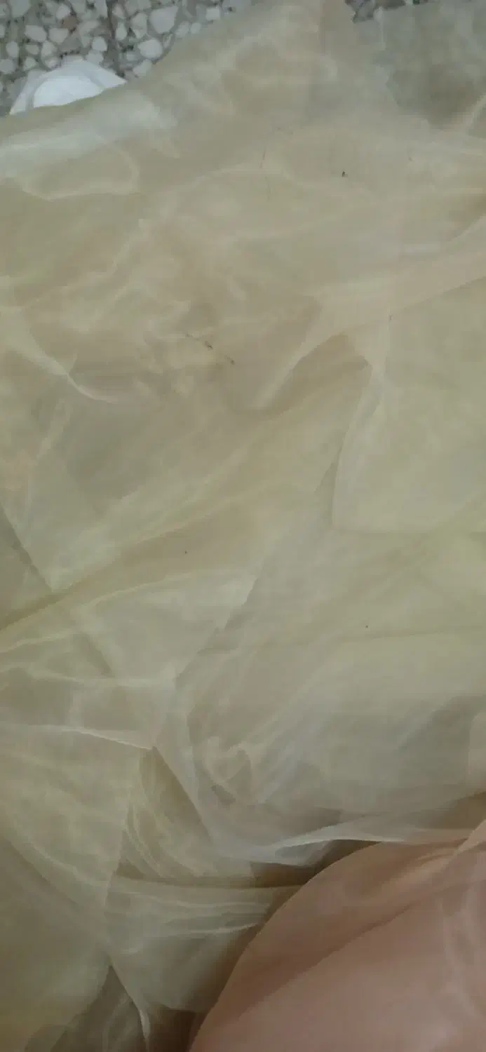 پرده با میل پرده  ۱۳ متر  پانچ شده|پرده، رانر، رومیزی|رشت, چله خانه|دیوار