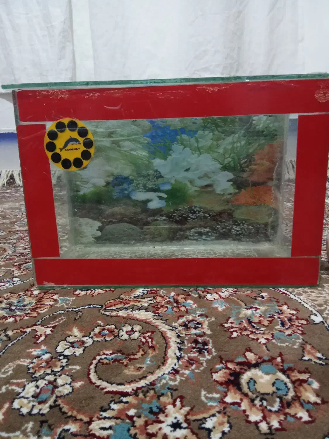 آکواریوم|ماهی|سقز, |دیوار