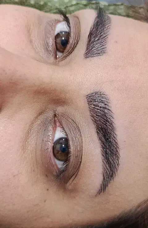 فیبروز ومیکرو بلیدینگ وشیدینگ لب|خدمات آرایشگری و زیبایی|گلبهار, شهر جدید گلبهار|دیوار