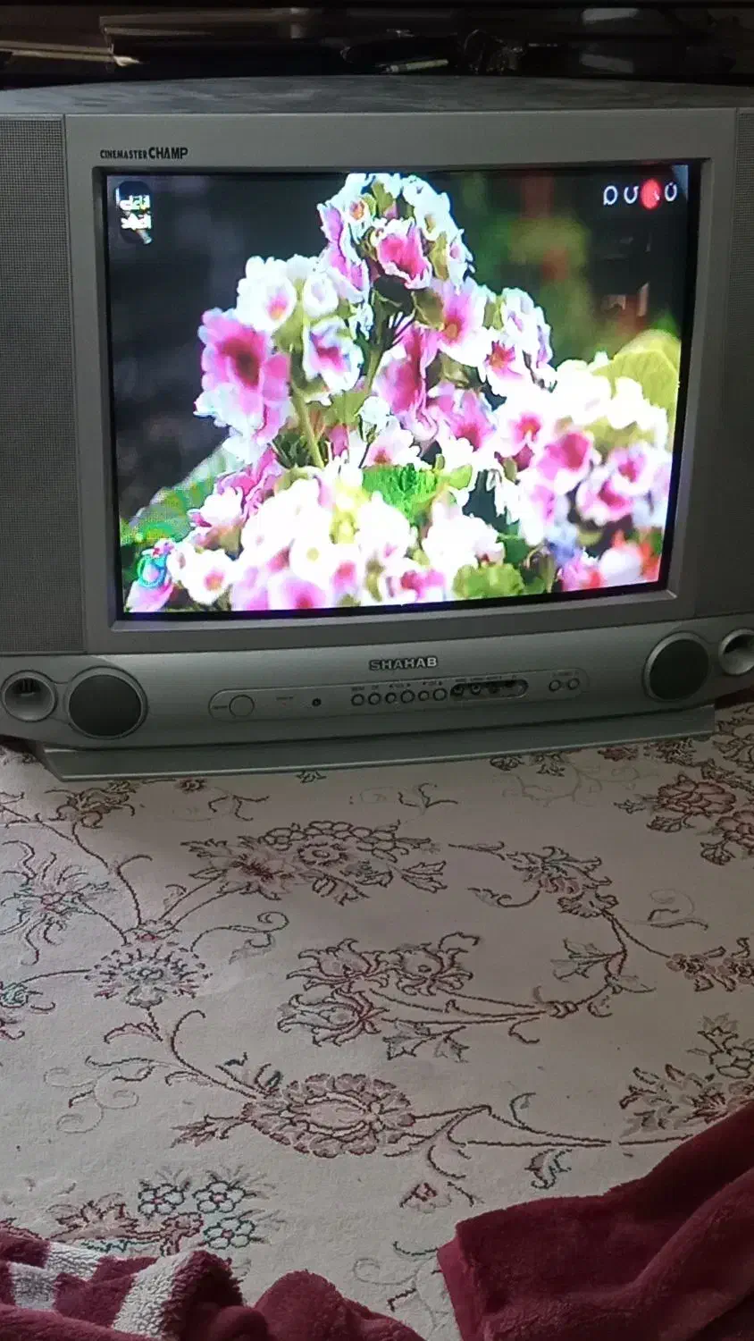 تلویزیون ۱۹ تا ۲۱ رنگی شهاب|تلویزیون و پروژکتور|شاهینشهر, امیرکبیر|دیوار