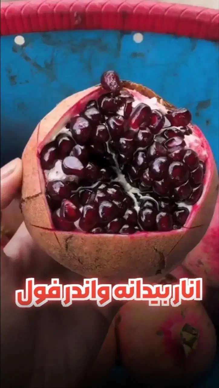 استخدام چند نفر خانم|استخدام بازاریابی و فروش|میاندوآب, |دیوار