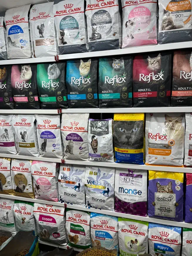 سرلاک اوشکایا مینا عروس هلندی دان مخلوط اسباب بازی|لوازم جانبی حیوانات|مشهد, گلبرگ|دیوار