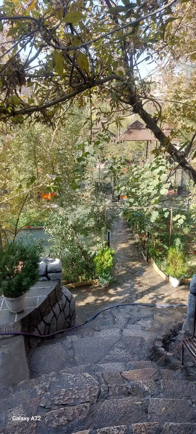 گارسون|استخدام خدمات فروشگاه و رستوران|طرقبه, |دیوار