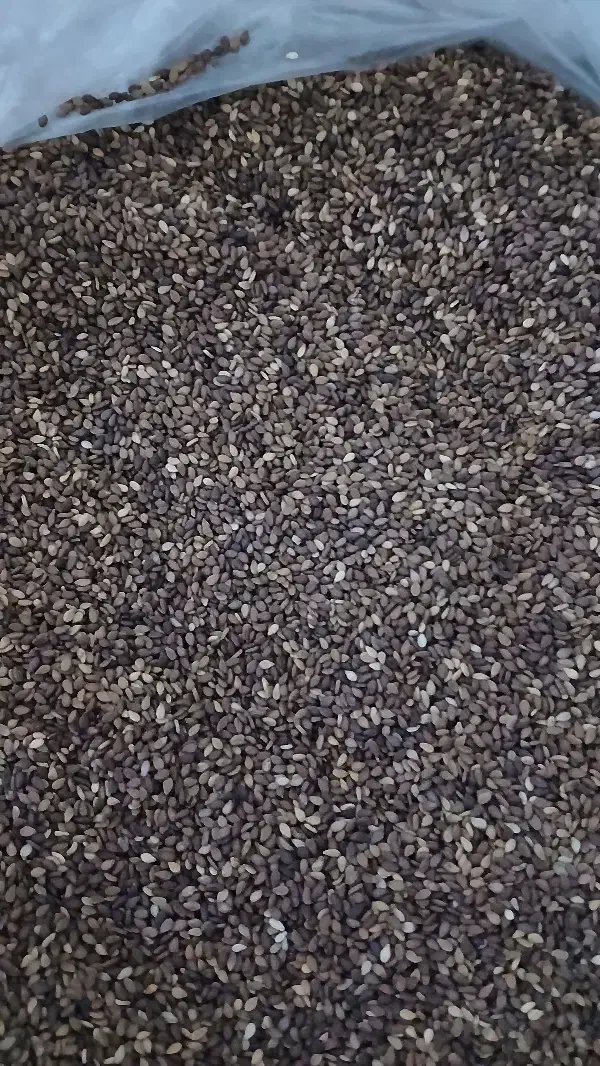 ادرس رامهرمز|عمدهفروشی|امیدیه, |دیوار