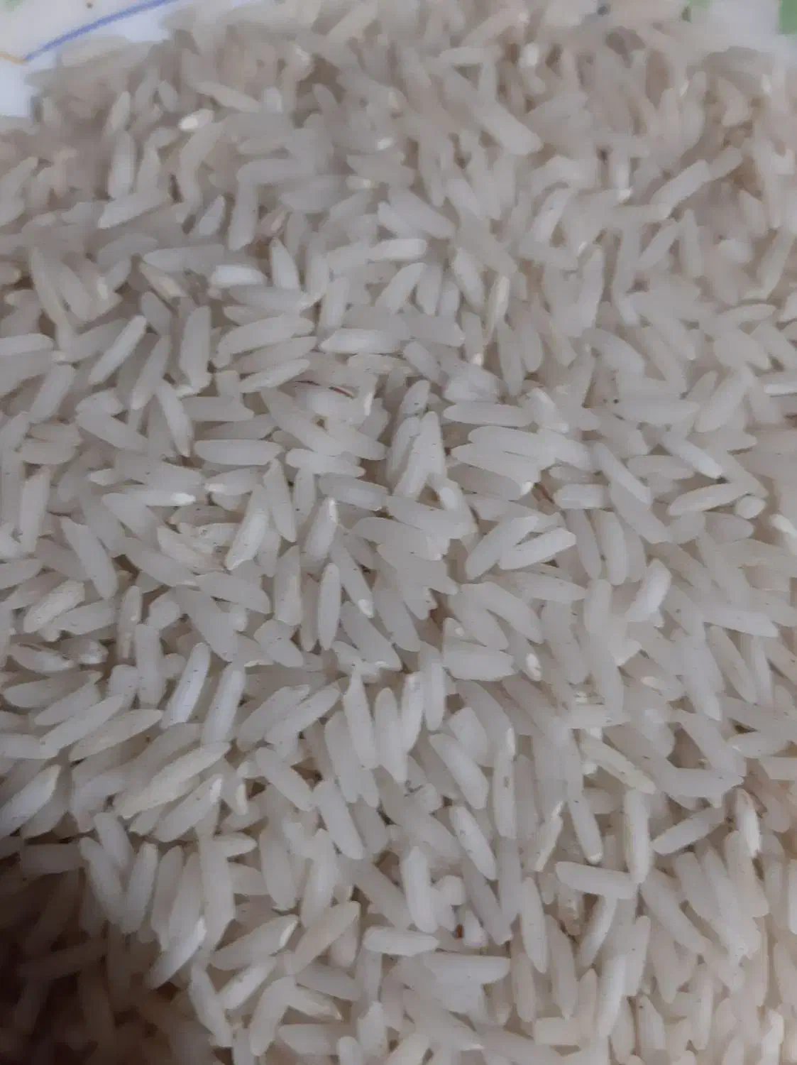 برنج هاشمی|خوردنی و آشامیدنی|رشت, گلسار|دیوار