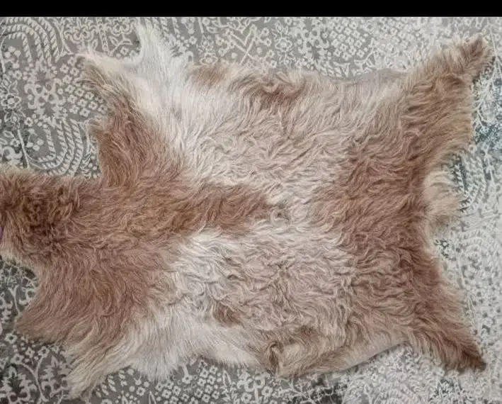 حراج در منزل|حراج|قم, نخودی|دیوار