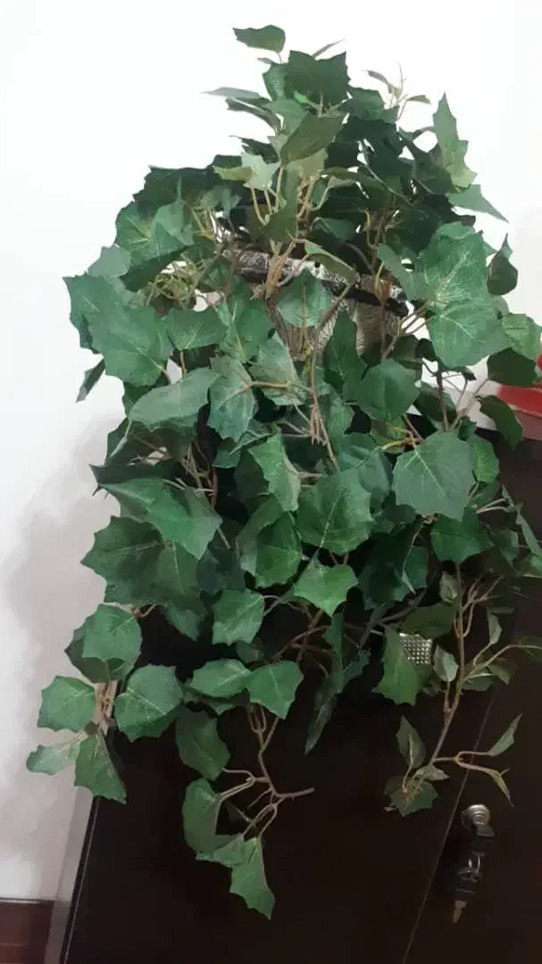 ۷عدد گلدان نو گل مصنوعی ودیوارکوب یکجا|گل مصنوعی|تهران, جی|دیوار