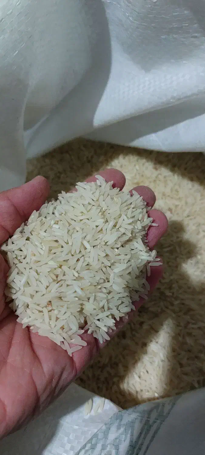 فروش برنج|خوردنی و آشامیدنی|کلاله, |دیوار