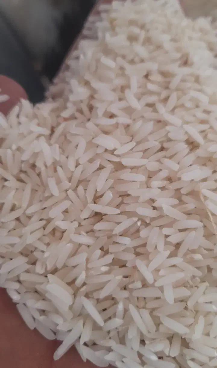 برنج هاشمی دره رود|خوردنی و آشامیدنی|پارسآباد, |دیوار