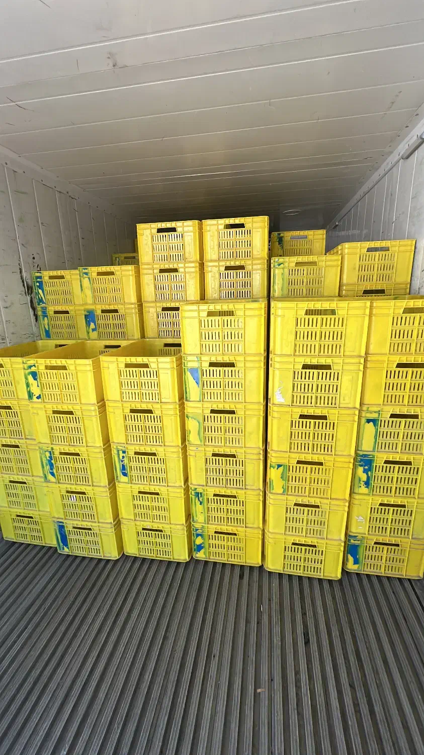 سبد مرغ|ظروف نگهدارنده، پلاستیکی، یک‌بارمصرف|گرگان, |دیوار