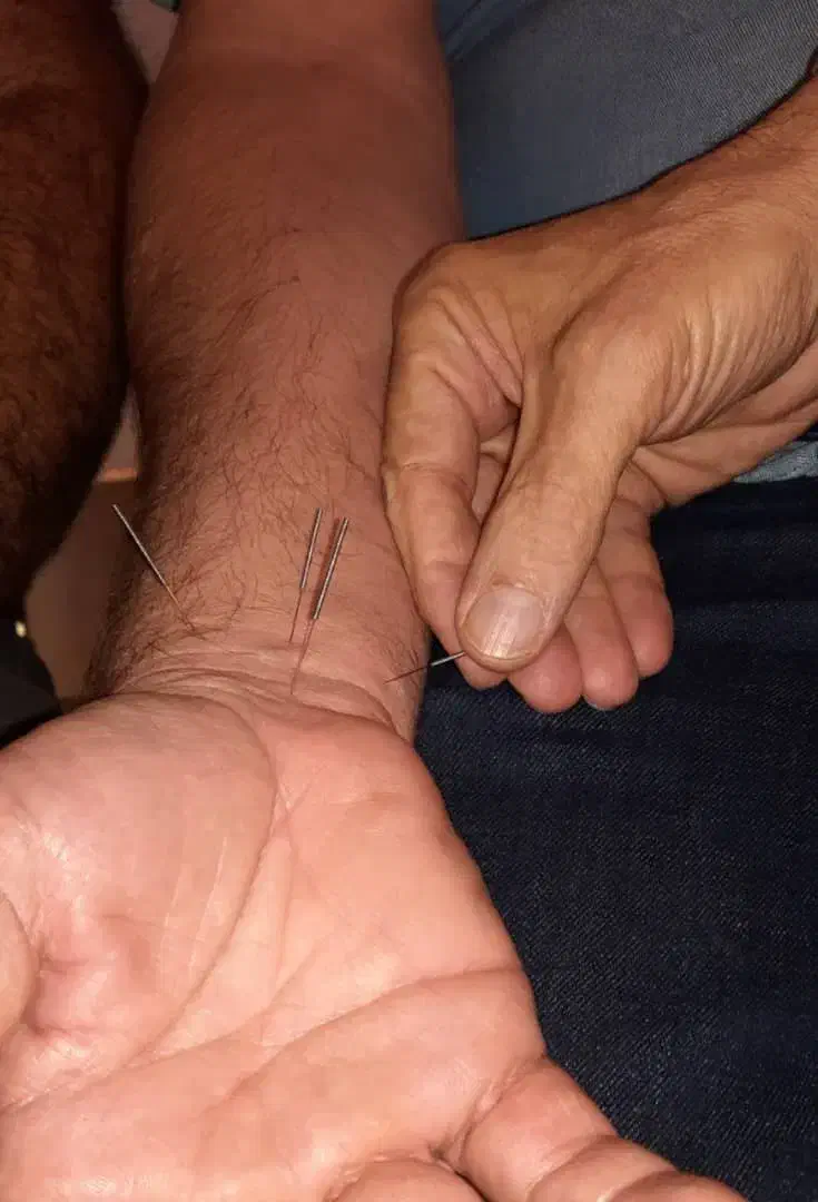 فروش دوره های افلاین اموزش طب سنتی|خدمات آموزشی|شیراز, شهرک صنعتی شیراز|دیوار