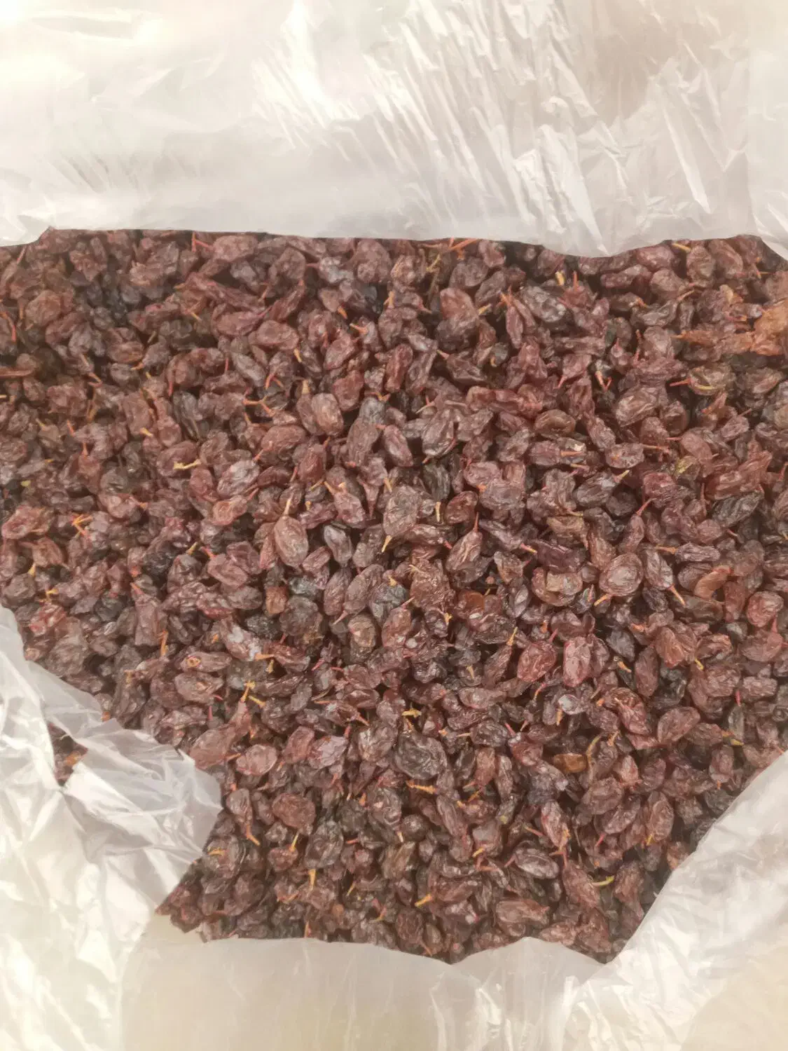 کشمش آفتابی|خوردنی و آشامیدنی|کرمانشاه, |دیوار