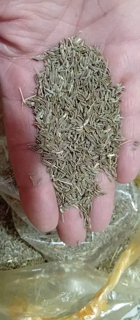 فروش زیره سبز|خوردنی و آشامیدنی|شیراز, شهرک مهرگان|دیوار