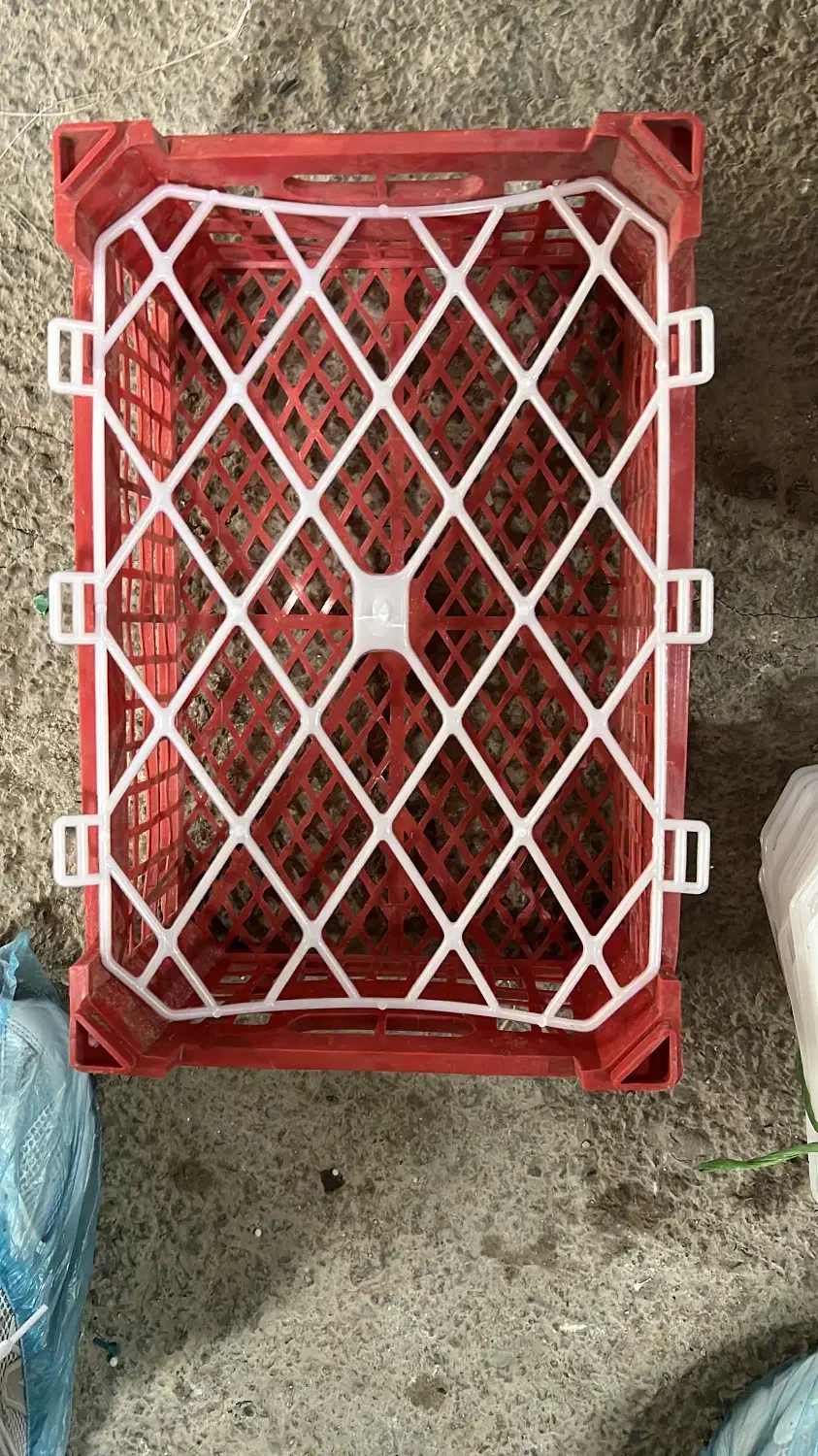 مجموعه سبدمیوه خدابندلو|ظروف نگهدارنده، پلاستیکی، یک‌بارمصرف|هشتگرد, تهران دشت|دیوار