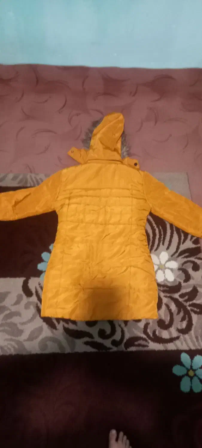 کاپشن|لباس|نهاوند, |دیوار