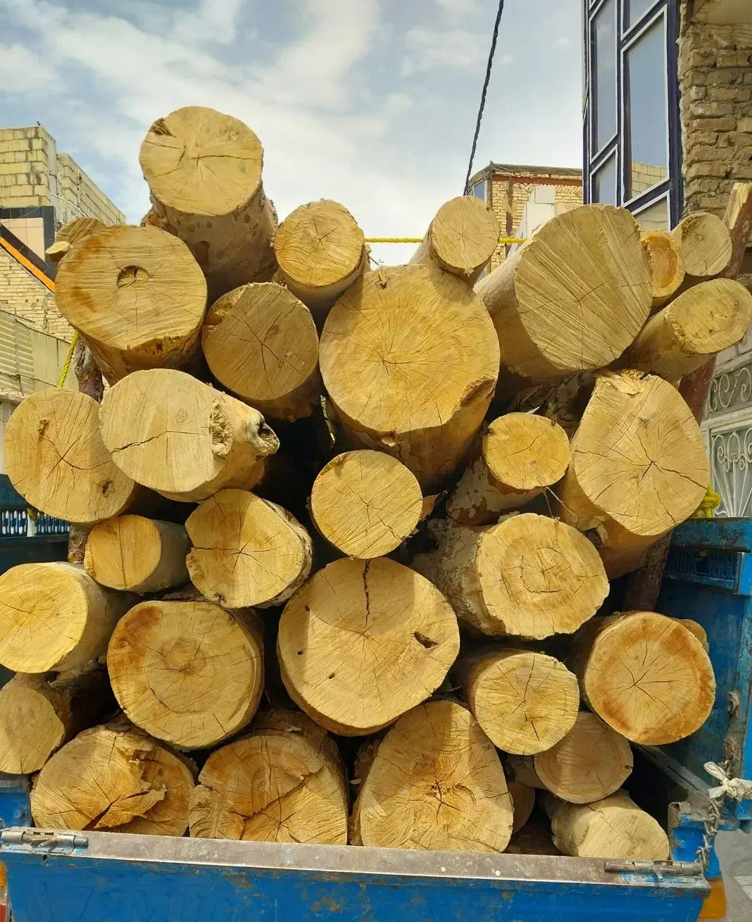 خرید چوب انواع درخت و چوب سقفی|عمدهفروشی|مشهد, بهمن|دیوار