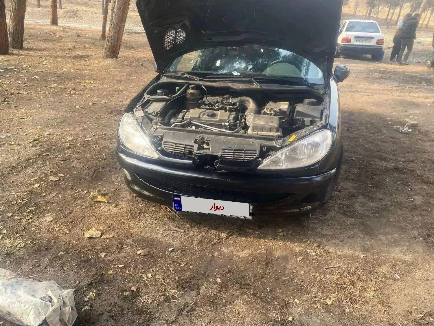 206 (تیپ ۱)|خودرو سواری و وانت|تهران, بوستان شیان|دیوار