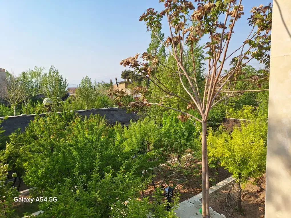 ویلاباغ دلنشین۱۰۰۰زمین۲۵۰بنا طلایی ناب در*مهراباد*|فروش خانه و ویلا|رودهن, |دیوار