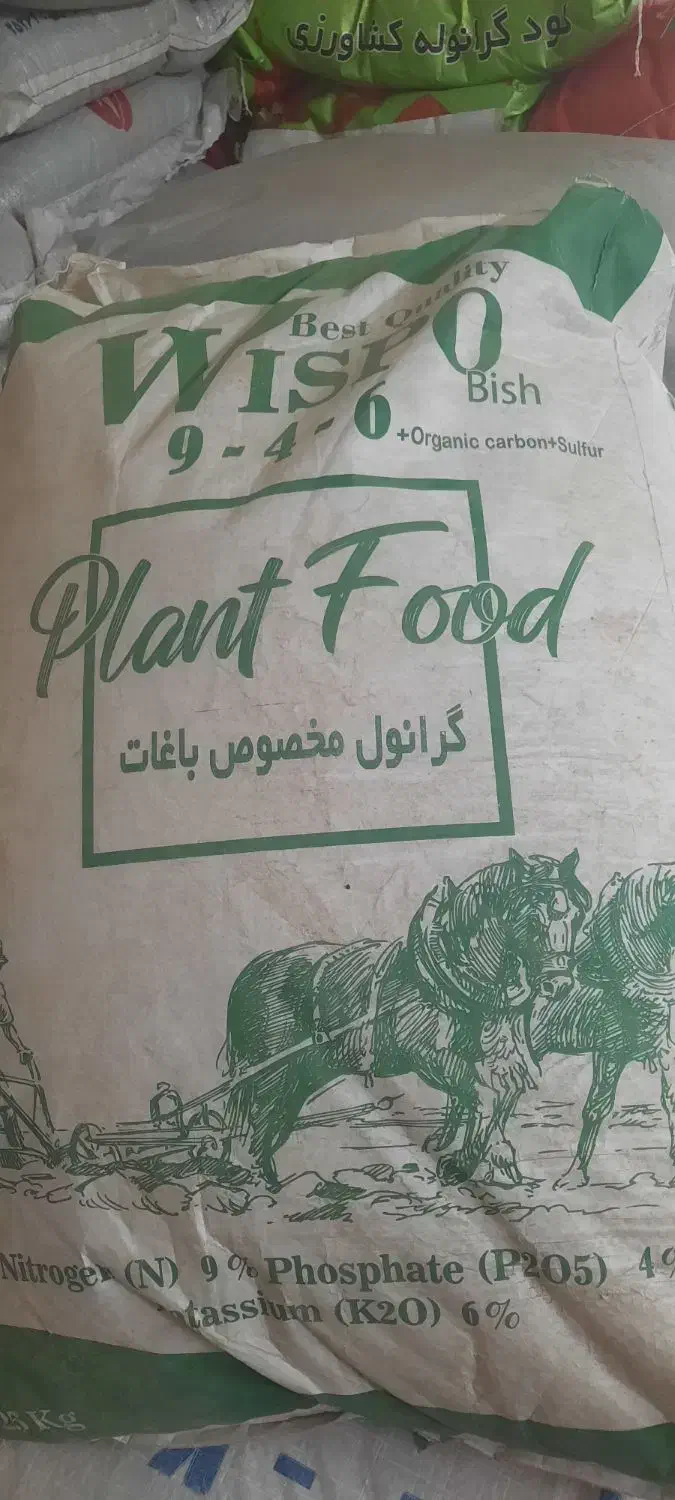 چالکود زمستانه|خدمات باغبانی و درختکاری|الوند, |دیوار