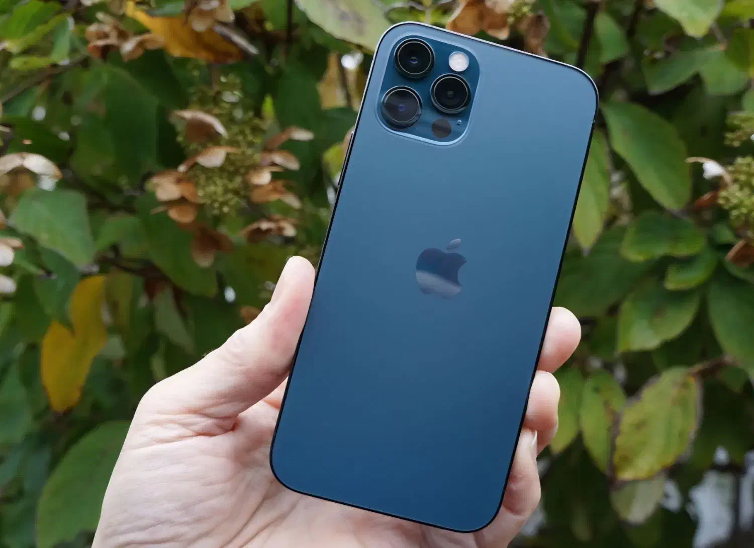 آیفون پرو iPhone 12  اقساط ویژه بازنشستگان بدون چک|موبایل|مشهد, وکیل‌آباد|دیوار