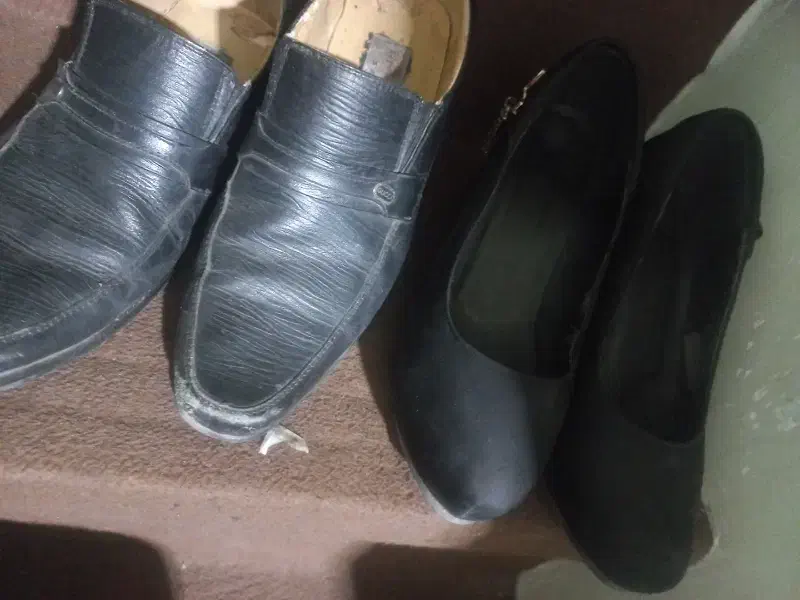 حراج|حراج|شیراز, میانرود|دیوار