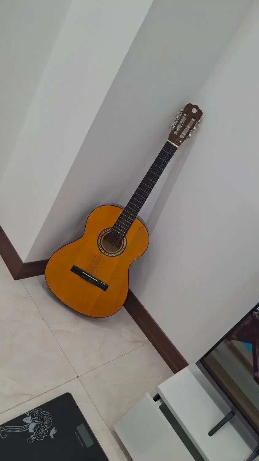 گیتار|گیتار، بیس، امپلیفایر|گلستان (تهران), |دیوار