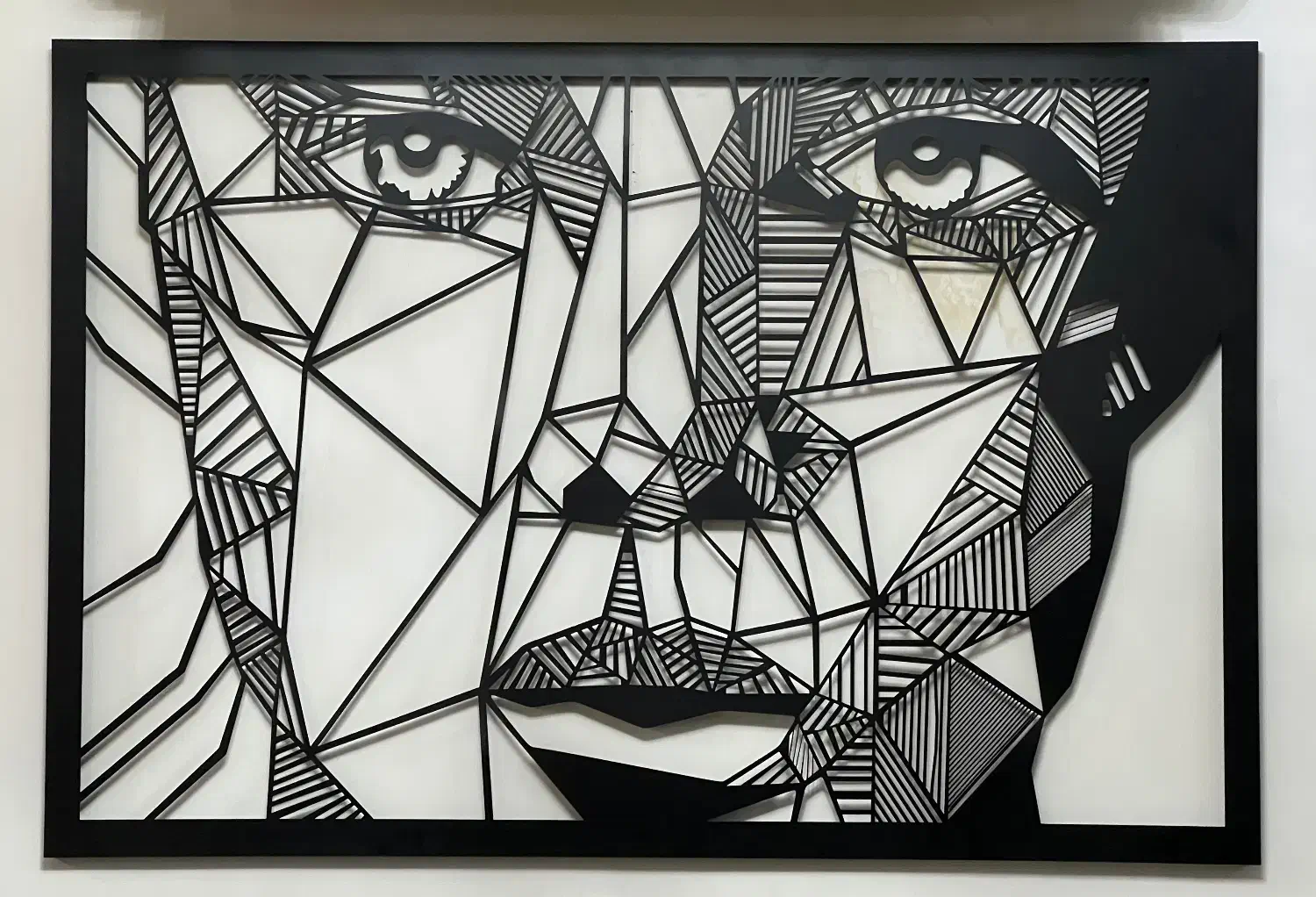 تابلوفلزی چهره|تابلو، نقاشی، عکس|گنبد کاووس, |دیوار