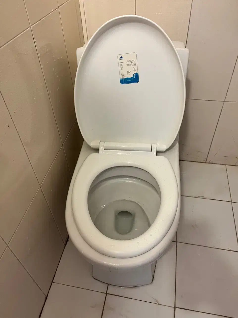 فروش توالت فرنگی آدونیس در حد نو نصف قیمت|لوازم سرویس بهداشتی|هشتگرد, فاز ۷ مهستان|دیوار