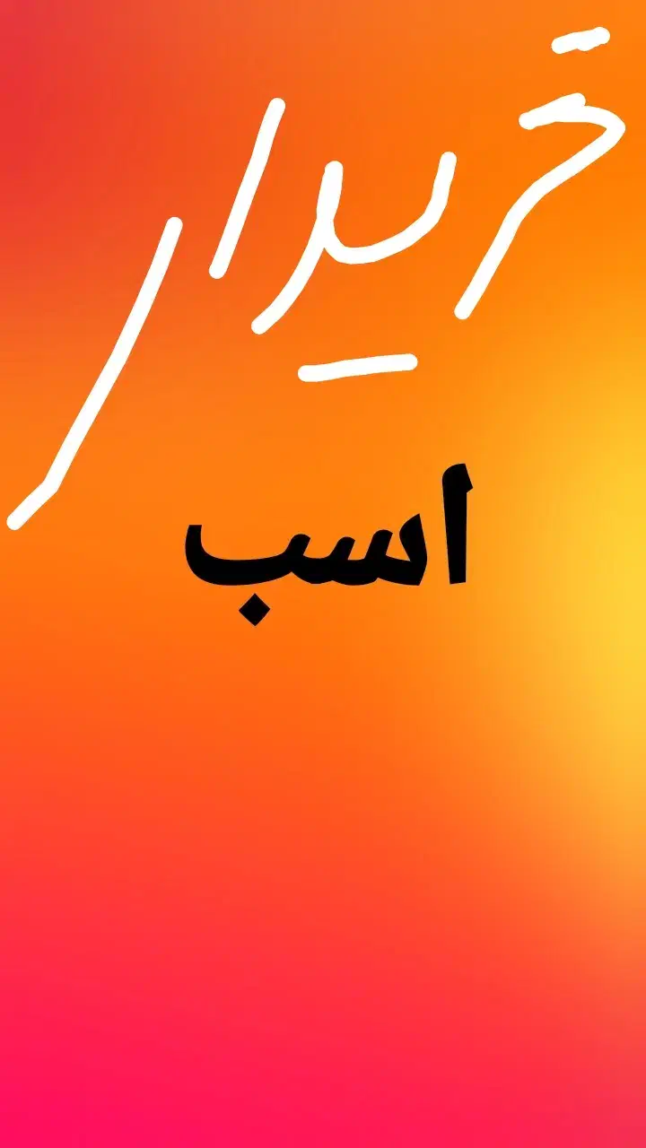 اسب مادیان نریان|اسب و تجهیزات اسبسواری|میانه, |دیوار