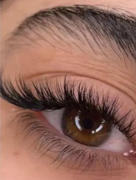 مدل رایگان اکستنشن مژه|خدمات آرایشگری و زیبایی|مشهد, هفت تیر (آب و برق)|دیوار