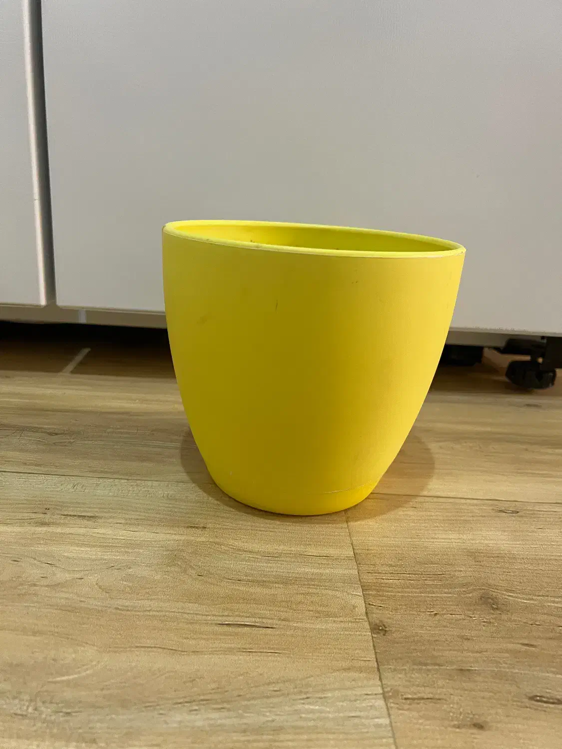 دو عدد گلدان|گل و گیاه طبیعی|بجنورد, |دیوار