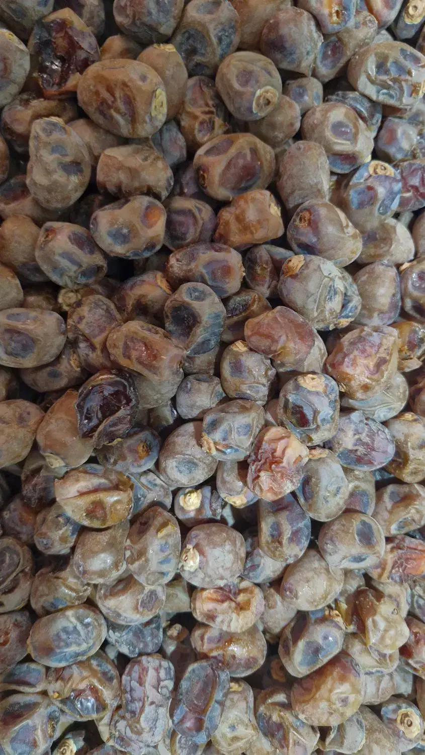 خرما برحی|خوردنی و آشامیدنی|اهواز, کوی سعدی|دیوار