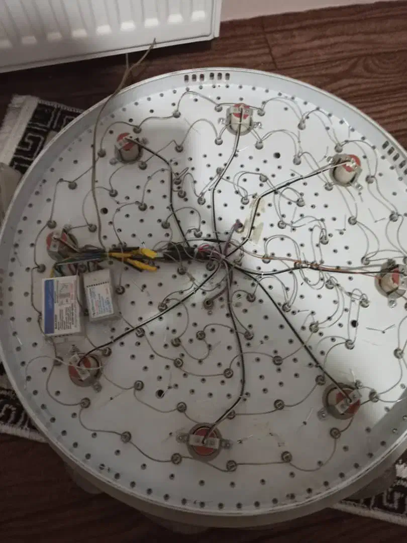 لوستر سقفی|لوستر و چراغ آویز|ارومیه, |دیوار