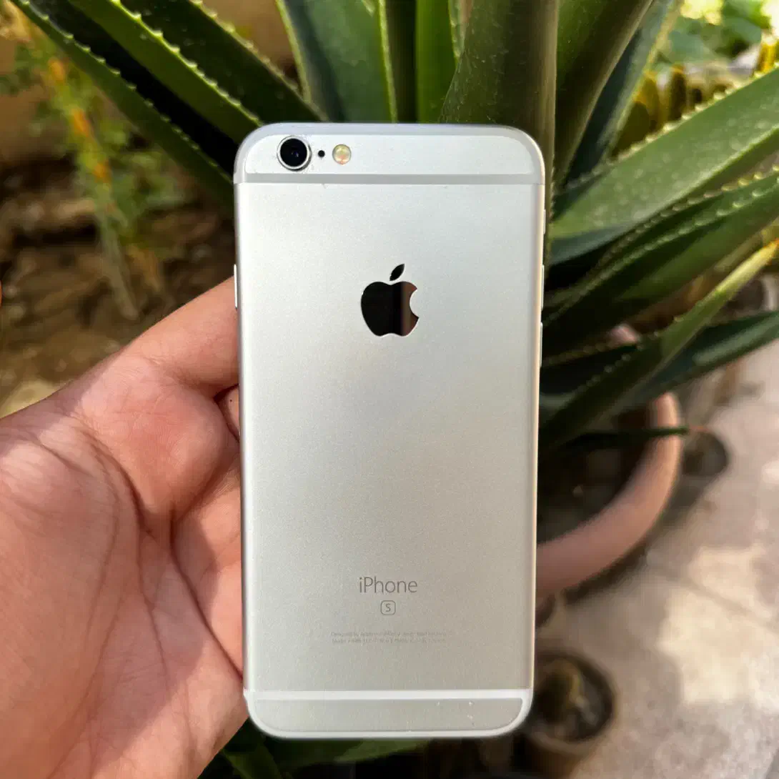 iPhone 6s ایفون|موبایل|تهران, شهر زیبا|دیوار