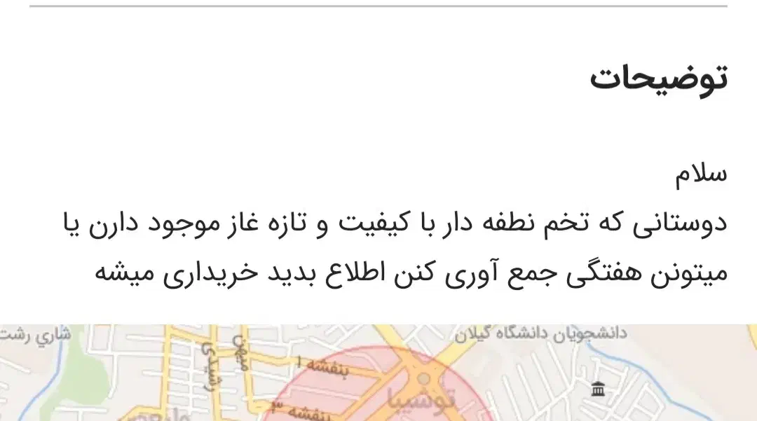 تخم غاز|حیوانات مزرعه|رشت, توشیبا|دیوار