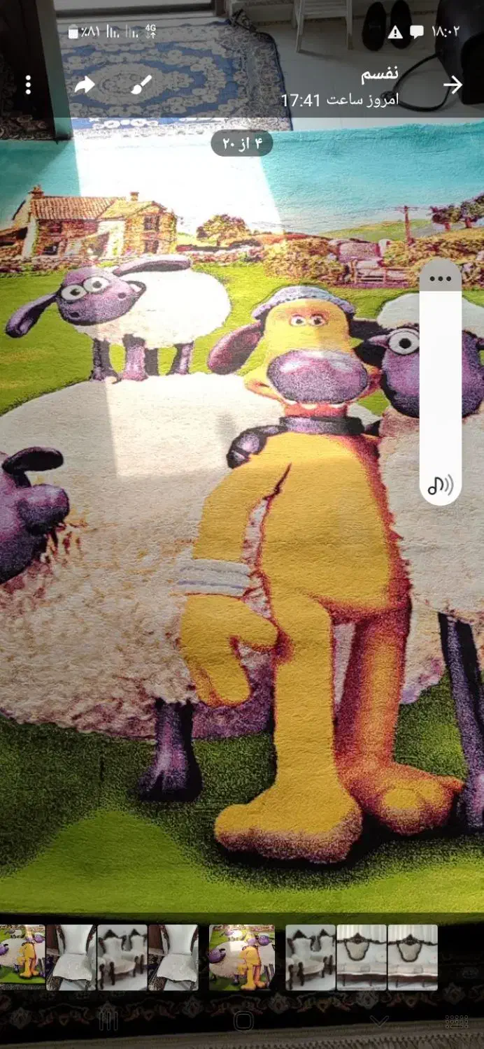 فرش فانتزی|فرش|عباس‌آباد, |دیوار