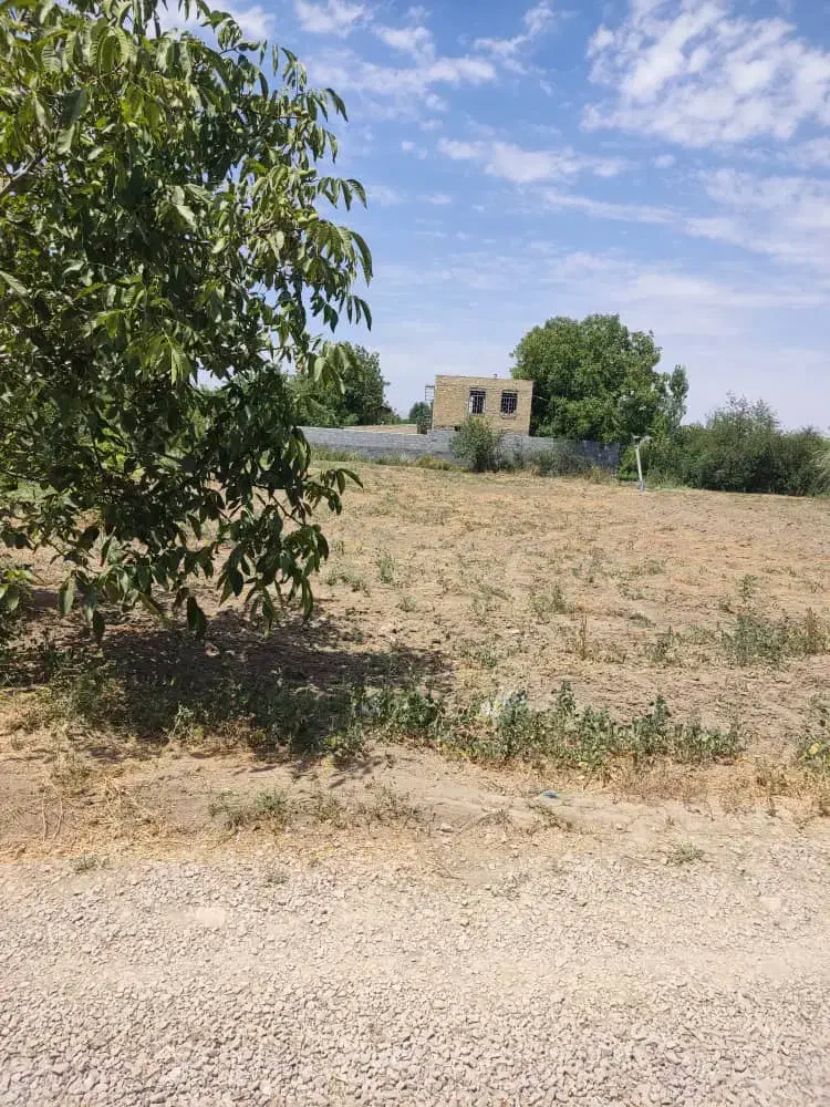 زمین کشاورزی با برق|فروش زمین و ملک کلنگی|نوشین شهر, |دیوار