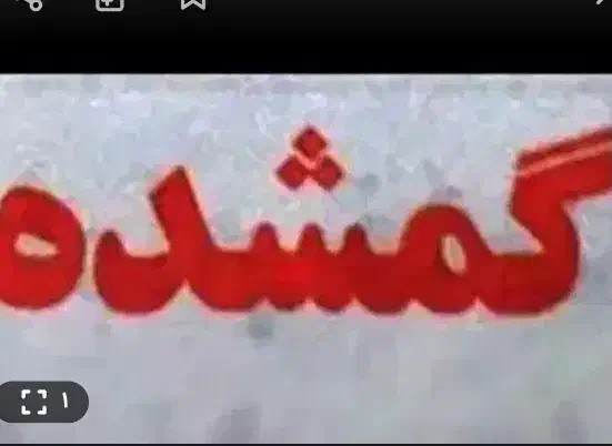 مدارک گمشده|کیف، کفش، کمربند|کرمانشاه, |دیوار