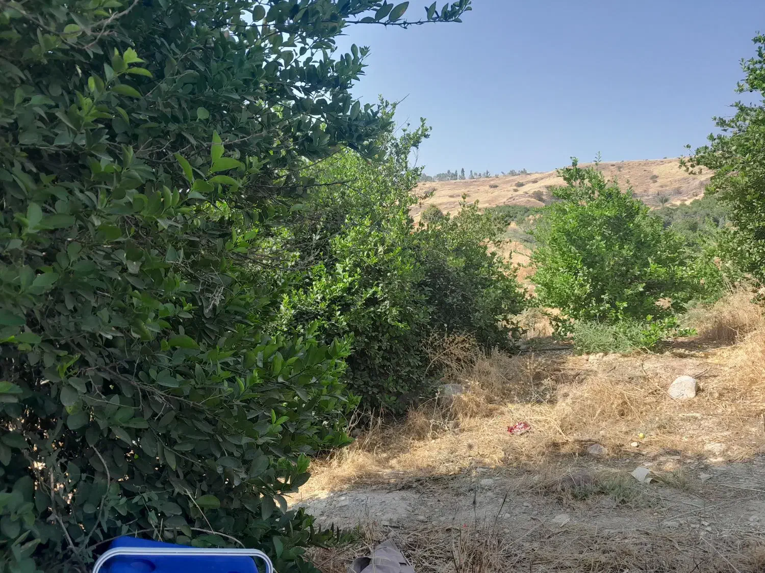 باغ با موقعیت تفریحی گردشگری|فروش خانه و ویلا|بوستان, |دیوار