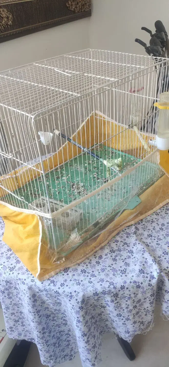 قفس قناری بزرگ رنگ سفید 2 درب|لوازم جانبی حیوانات|شیراز, صنایع الکترونیک|دیوار