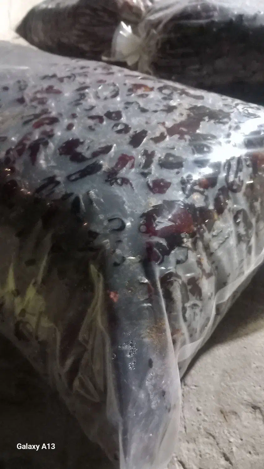 خرما مخصوص حلوا وچنگال داخل پلاستیک|خوردنی و آشامیدنی|دامن, |دیوار