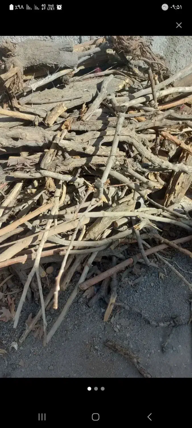 خرید هیزم چوب خشک و هرس درختان باغ|خدمات باغبانی و درختکاری|کرج, شهرک احمدیه‎|دیوار