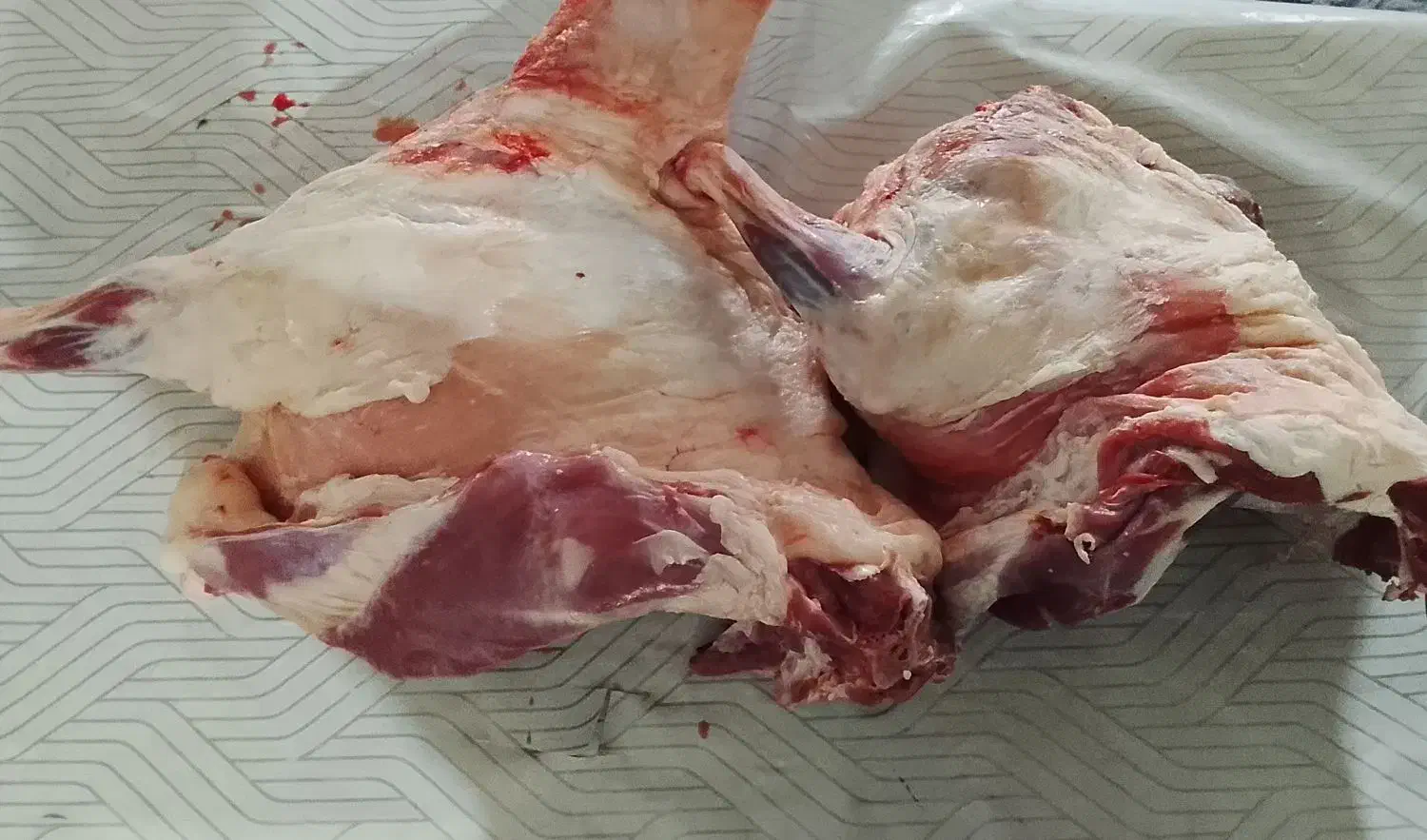 گوشت|خوردنی و آشامیدنی|تربت‌حیدریه, ترمینال|دیوار