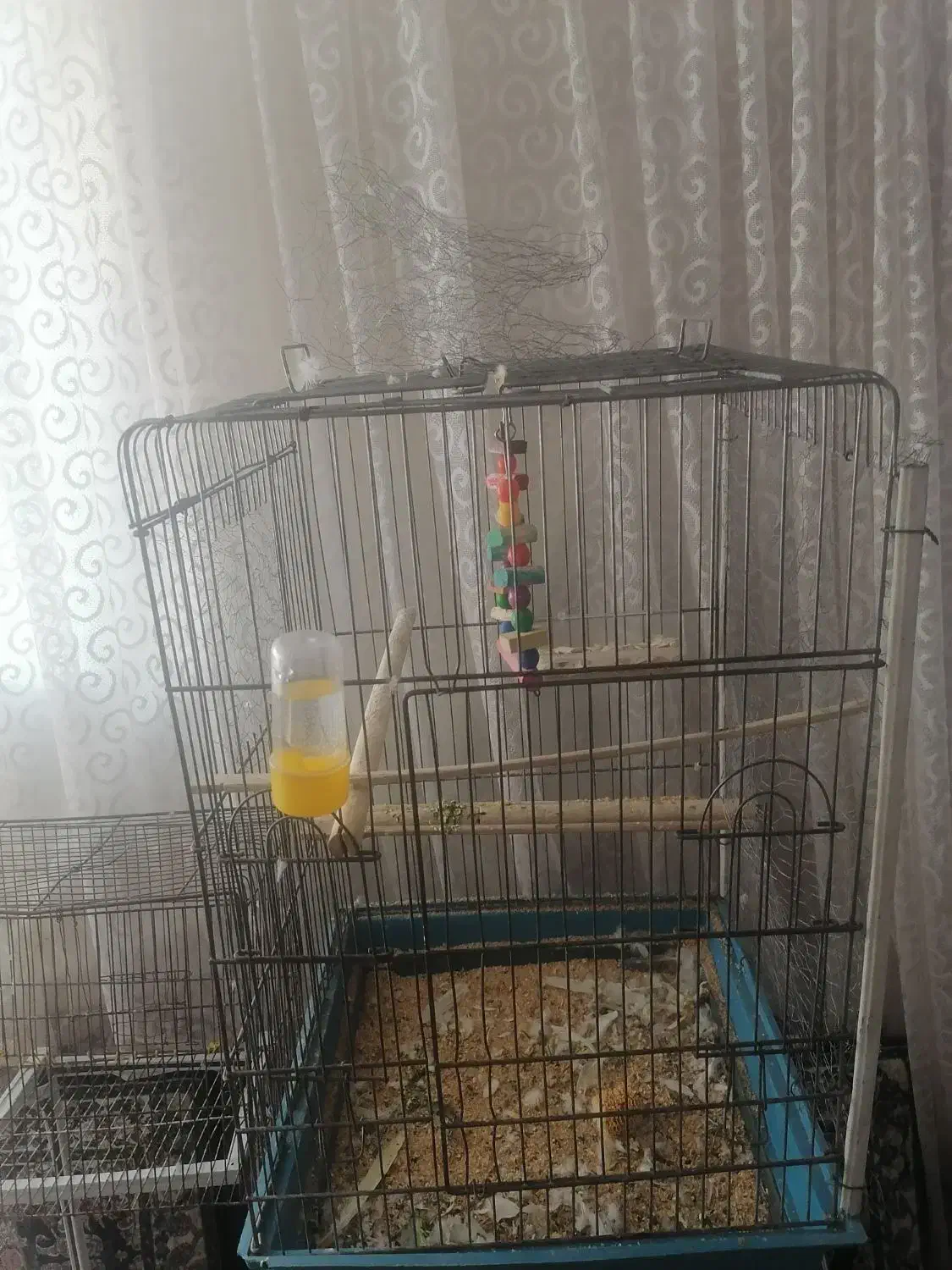 قفس بزرگ|لوازم جانبی حیوانات|سبزوار, چهارراه فرودگاه|دیوار