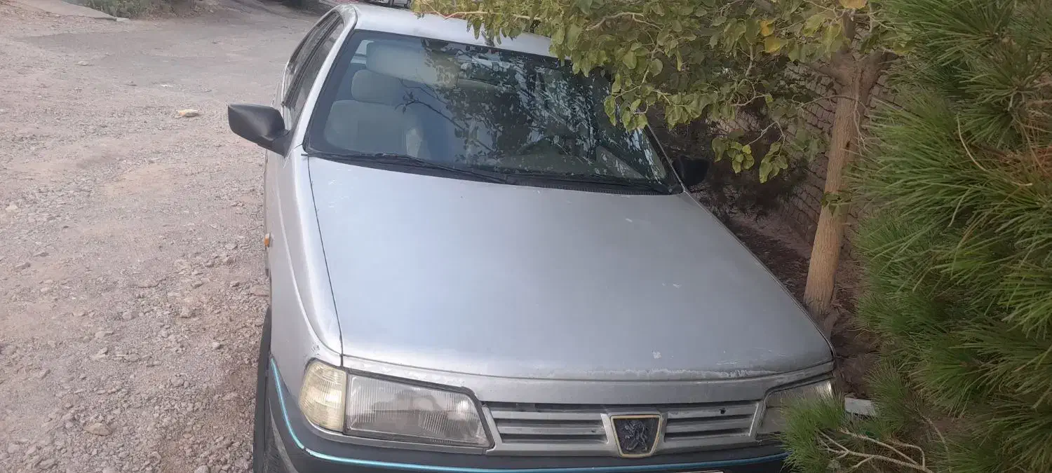 پژو ۴۰۵ مدل ۹۰ شاسی پلمپ|خودرو سواری و وانت|تفت, |دیوار